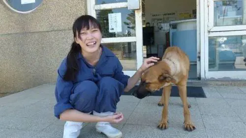 Sopprimeva i cani per lavoro. Dopo anni di insulti, si è tolta la vita