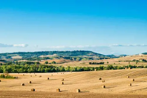 Stato, partito e ambientalisti sono la peste dell'agricoltura