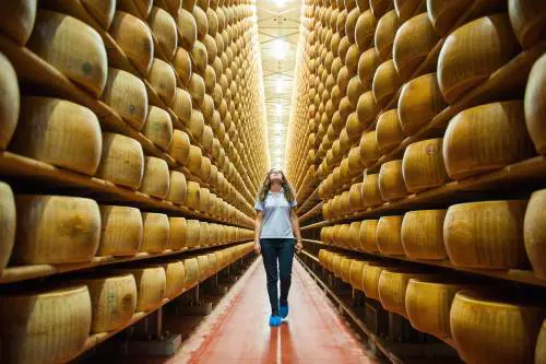 Coldiretti: "Parmigiano brasiliano e Asiago giapponese, l'Ue non ci tutela"