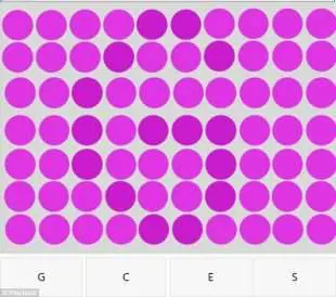 Ecco i 9 riquadri del quiz