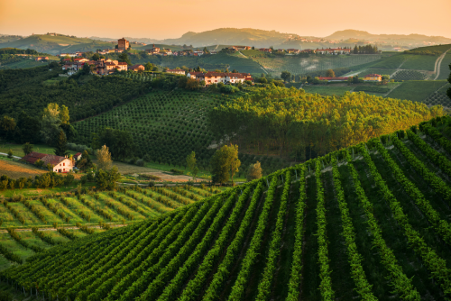 Paesaggi e cultura del Monferrato raccontati dai giovani fotografi
