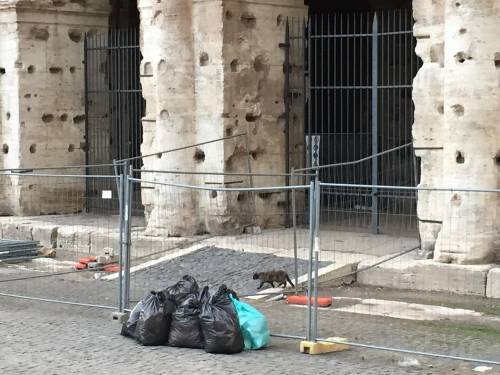 Il Colosseo della vergogna: turisti tra rifiuti ed escrementi