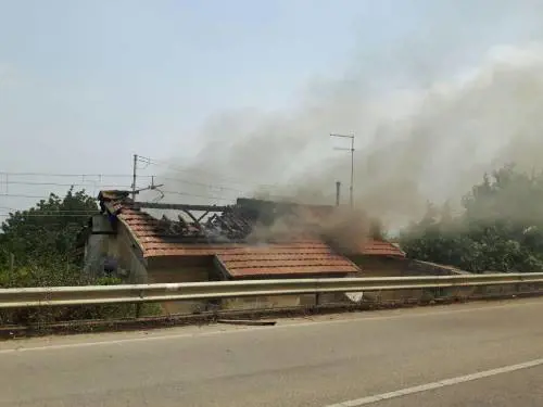 Sicilia, i piromani affaristi tengono l'isola in ostaggio