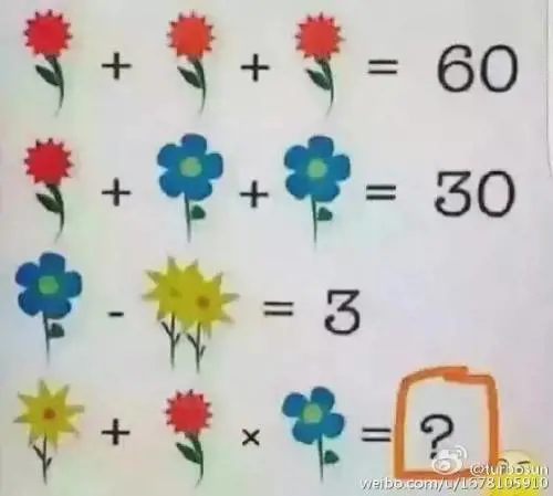 Il rebus fa impazzire la rete: come si sommano questi fiori?