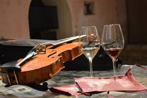 La Strada del Vino e dei Sapori del Trentino 