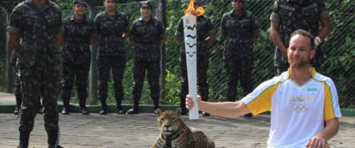 Rio 2016, giaguaro sfila con atleti. Poi prova a scappare e viene ucciso