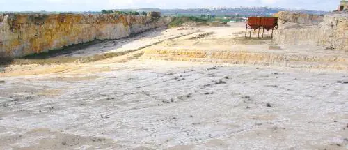 Ad Altamura i dinosauri finiscono alla... Corte dei conti