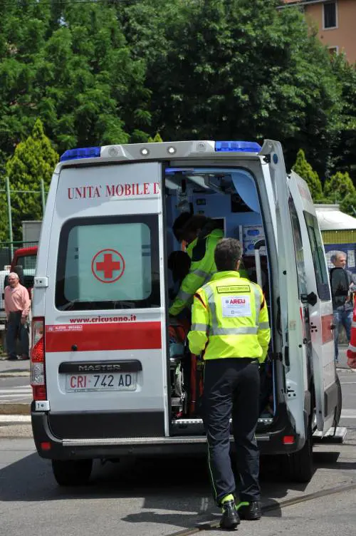 "Ha il naso da maiale". Madre disperata si ammazza col figlio