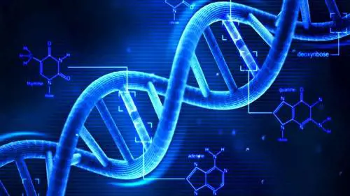 Scoperte molecole che bloccano i segnali che portano all’invecchiamento delle cellule 