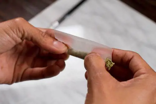 L'urgenza estiva della sinistra: lo spinello va legalizzato