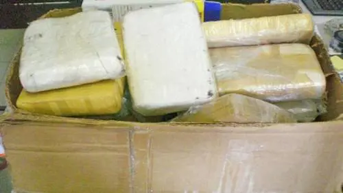 Blitz tra Italia e Colombia. Smantellata rete del traffico di droga