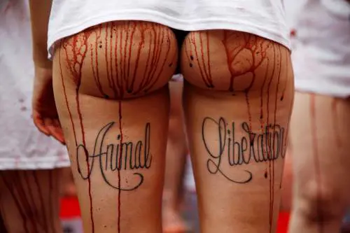 Pamplona, animalisti contro la Festa di San Firmino