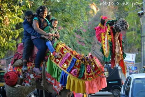 Viaggio in India: Rajasthan, Udaipur come “Le mille e una notte”