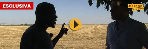 Clandestini fantasma in Italia, schiavi per pochi centesimi