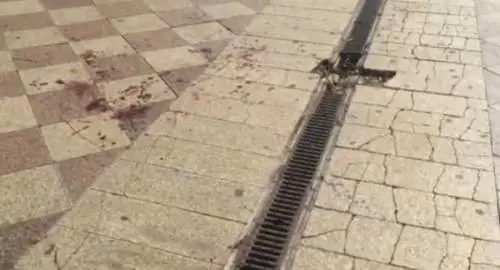 Ecco chi è l'immigrato che stava provocando una strage a Napoli