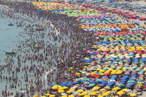 Punto da un insetto, muore in spiaggia dopo il bagno