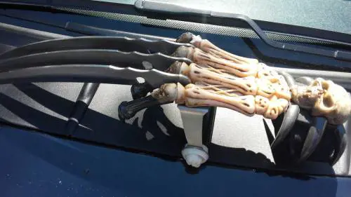 Artigli e passamontagna Ecco come i «pacifisti» aiutano i clandestini