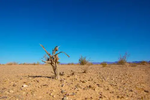 Clima, 2017 anno più secco in Italia da due secoli