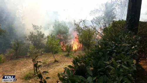 Roma, bruciati più di 50 ettari: evacuati struttura per anziani e convento