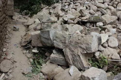 La banda della piazzetta. Sei bambini salvati da tre gattini trovatelli