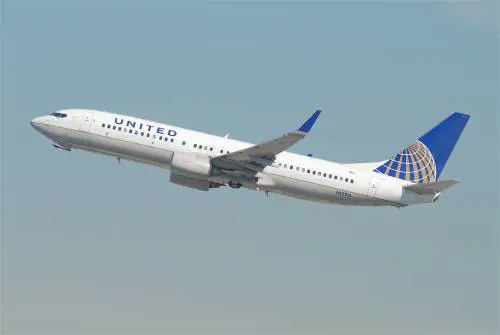 Altro guaio per la United Airlines: è morto in stiva il coniglio gigante