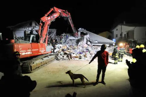 Più efficaci delle tecnologie. I cani grazie al loro fiuto hanno salvato 50 persone