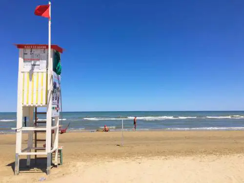 Vietati cani per ciechi. L'ottusità bestiale ​di un hotel di Rimini
