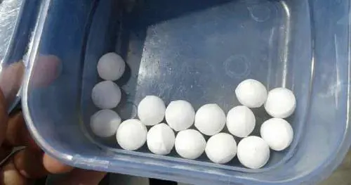  Salento, a Calimera naftalina come trappola per cani