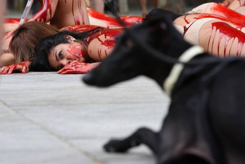 Madrid, la protesta choc degli animalisti