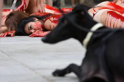 Madrid, la protesta choc degli animalisti