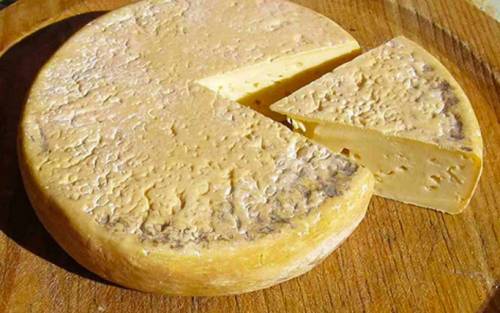 Il Morlacco del Grappa: un formaggio tra Veneto e Balcani