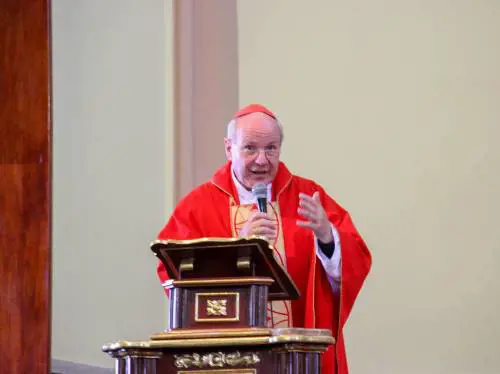 Il cardinale Schonborn: "Molti islamici vogliono un'Europa musulmana"