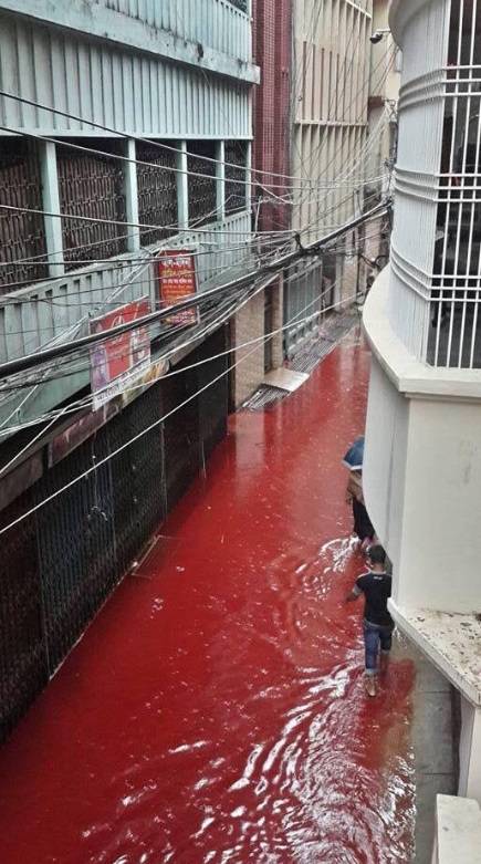 Dhaka, strade inondate di sangue