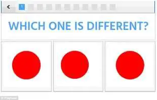 Trova le differenze e scopri che tipo sei