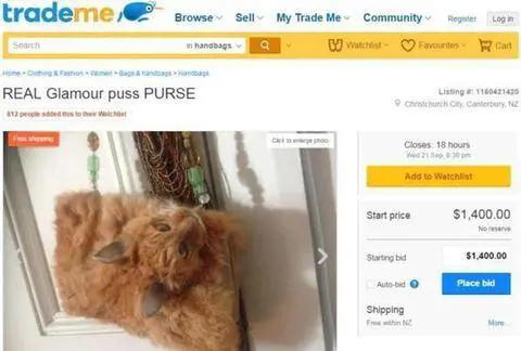 Trova un gatto morto e lo trasforma in borsa. Pioggia di critiche per la donna