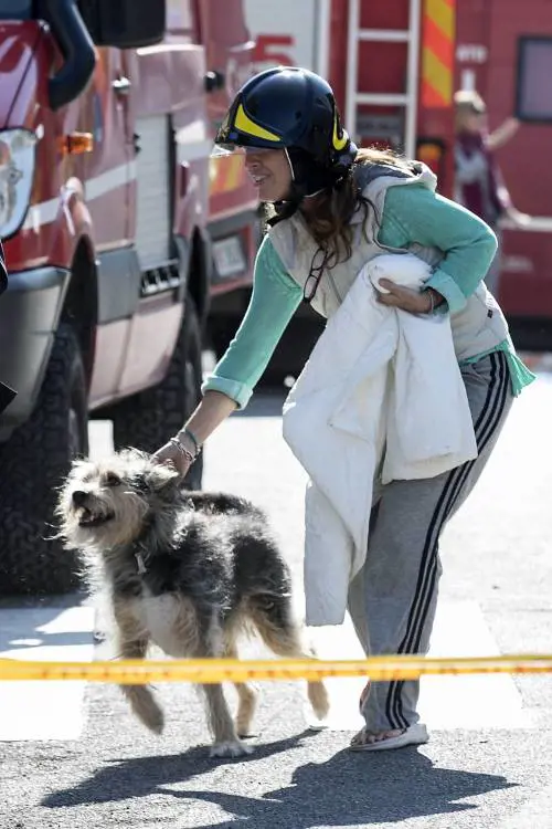 Roma, i vigili del fuoco salvano il cane Billo