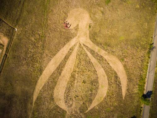 Clitoride gigante disegnato in un campo nel sud della Francia