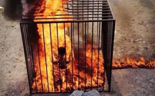 Ciak, si gira la sharia. Ecco l'Hollywood dell'Isis