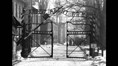 Gli ebrei di Germania: "Immigrati in visita nei lager contro l'antisemitismo"
