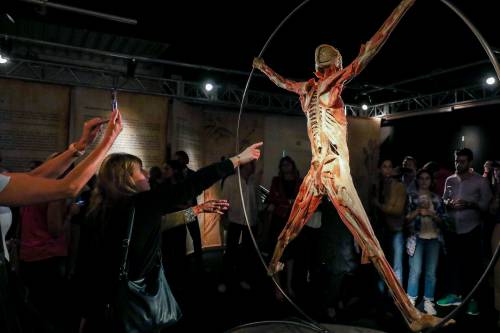 Roma, svenimenti alla mostra "Real Bodies": via le sospensioni