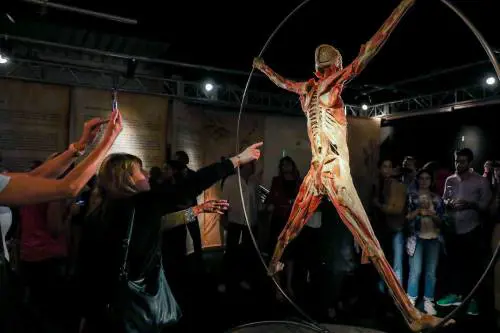 Roma, svenimenti alla mostra "Real Bodies": via le sospensioni