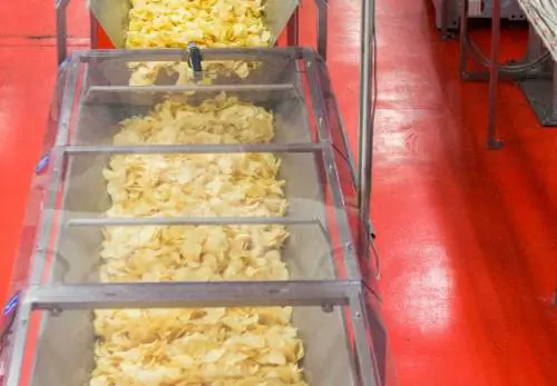 Le patatine San Carlo compiono 80 anni. E meritano l'Ambrogino