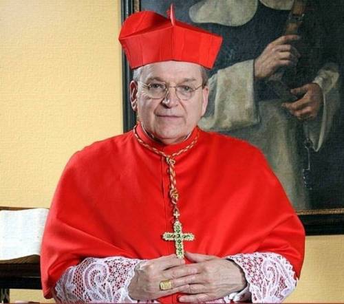 Il cardinale Burke: "Criticare il papa per il bene della Chiesa"