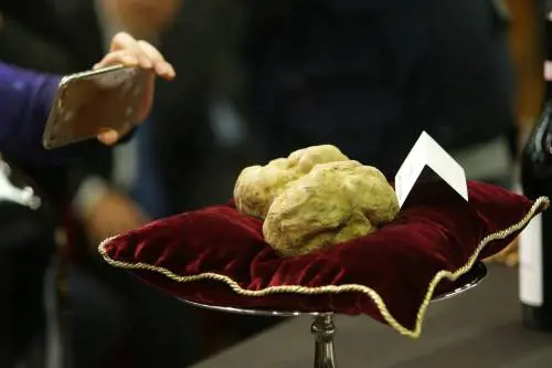 Il Tartufo bianco d'Alba aiuta il fratello umbro