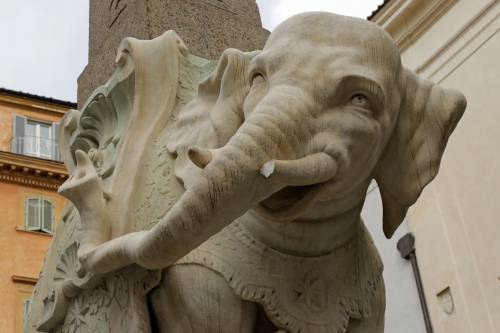 Roma, danneggiata la statua dell'elefante del Bernini