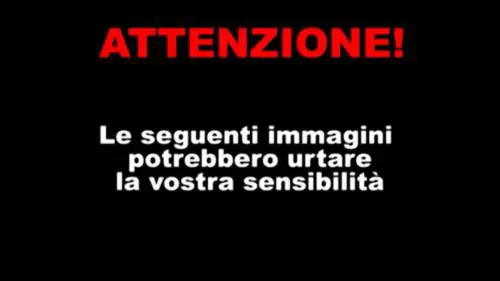 Carcasse di pesci sulla spiaggia in provincia di Taranto