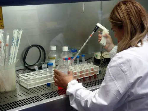 La scoperta milanese: trovata sequenza aliena di Dna nei pazienti malati di leucemia 