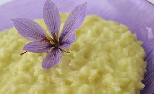 Il risotto allo zafferano con i pistilli