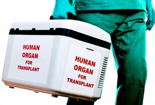 Francia, automaticamente donatori di organi al momento della morte