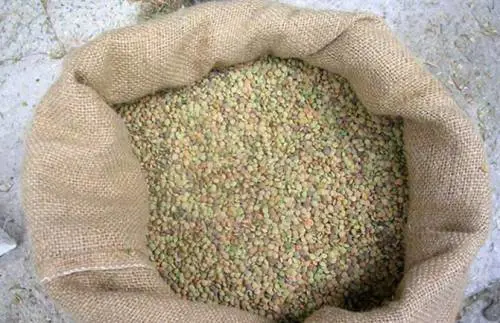 Le lenticchie di Castelluccio di Norcia IGP: regine delle nostre tavole natalizie